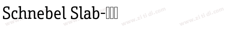 Schnebel Slab字体转换 Schnebel Slab字体转换